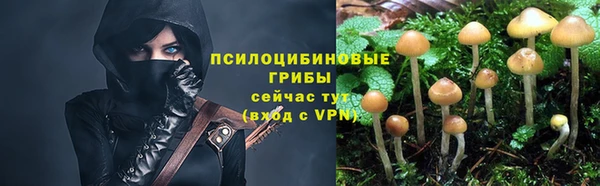 гидропоника Михайловка