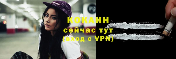 сатива Михайлов