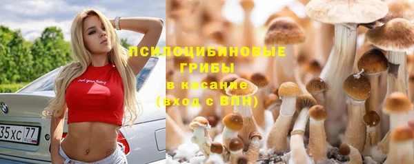 сатива Михайлов