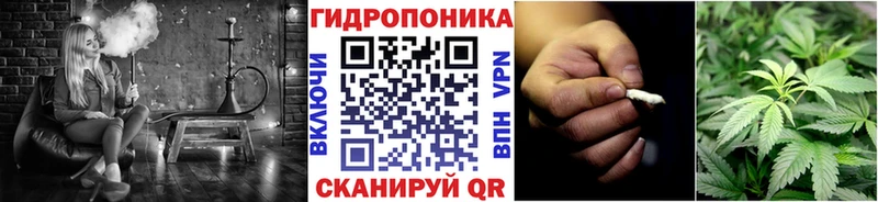Бошки Шишки MAZAR  Удачный 